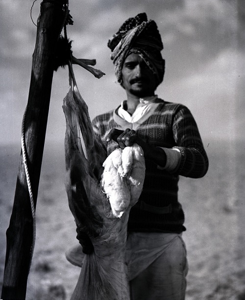 بادیه نشینان عربستان